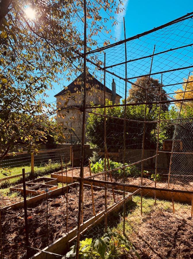 Pool House-L'Hirondelle De Sermizelles- Grand Jardin, Calme Et Nature Aux Portes Du Morvan Eksteriør billede