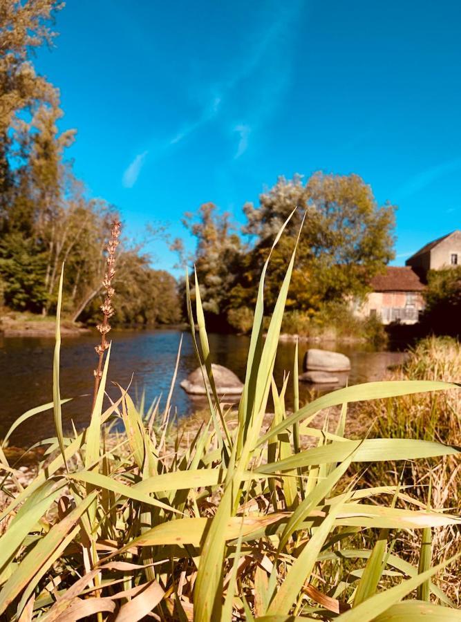 Pool House-L'Hirondelle De Sermizelles- Grand Jardin, Calme Et Nature Aux Portes Du Morvan Eksteriør billede