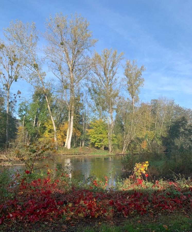 Pool House-L'Hirondelle De Sermizelles- Grand Jardin, Calme Et Nature Aux Portes Du Morvan Eksteriør billede