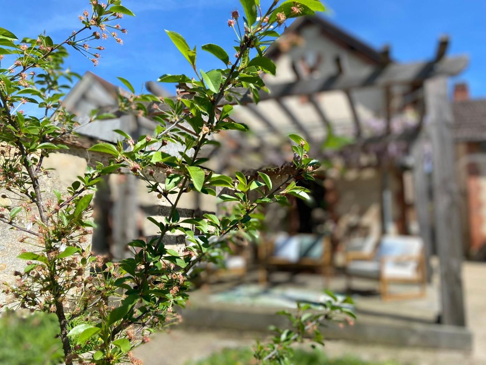 Pool House-L'Hirondelle De Sermizelles- Grand Jardin, Calme Et Nature Aux Portes Du Morvan Eksteriør billede